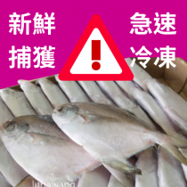 買3送1☆正宗白鯧魚☆250g±50/隻 去內臟 年菜 $197.62/起 【 陸霸王】