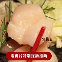 生食級日本干貝200G_大干貝 刺身 【陸霸王】